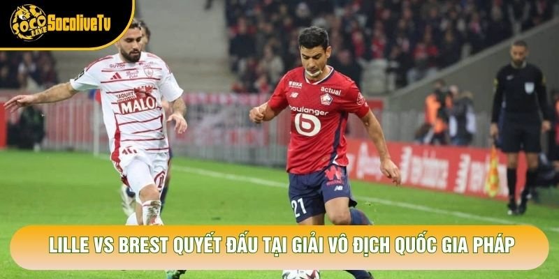 Lille vs Brest quyết đấu tại giải vô địch quốc gia Pháp Lille vs Brest quyết đấu tại giải vô địch quốc gia Pháp