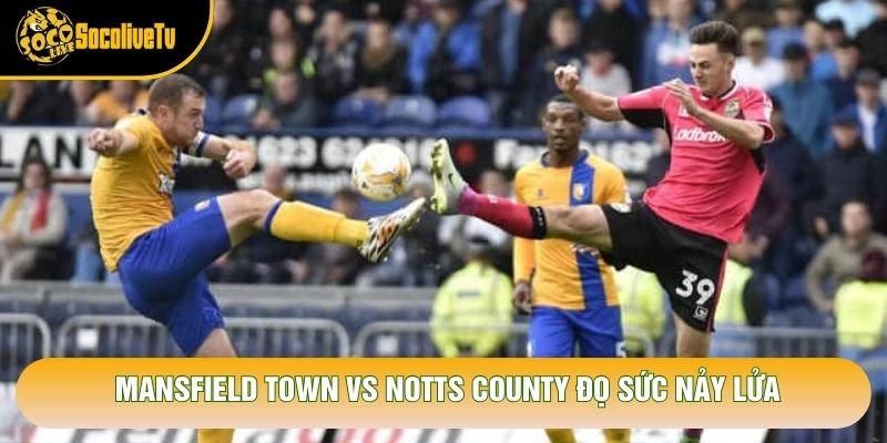 Mansfield Town vs Notts County đọ sức nảy lửa Mansfield Town vs Notts County đọ sức nảy lửa