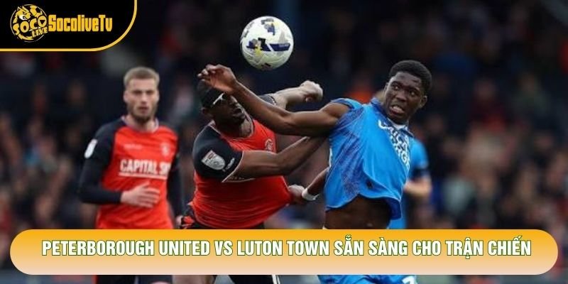peterborough united vs luton town sẵn sàng cho trận chiến