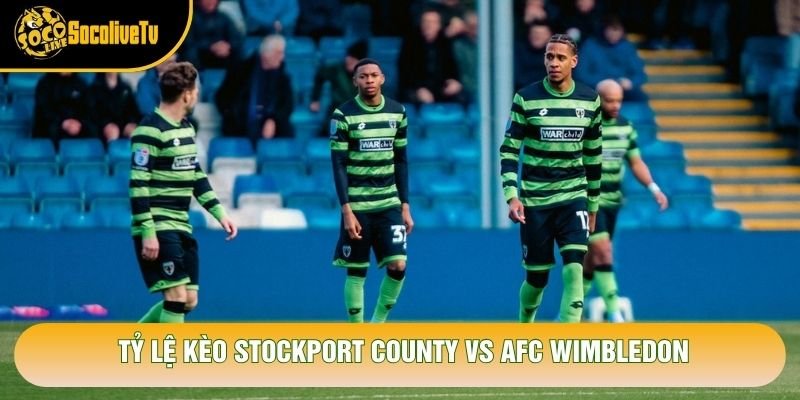 Tỷ lệ kèo Stockport County vs AFC Wimbledon Tỷ lệ kèo Stockport County vs AFC Wimbledon